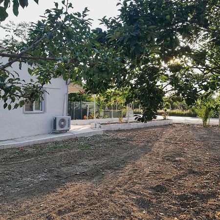 Alibaba Villa Near Airport And Beach Dalaman Ngoại thất bức ảnh