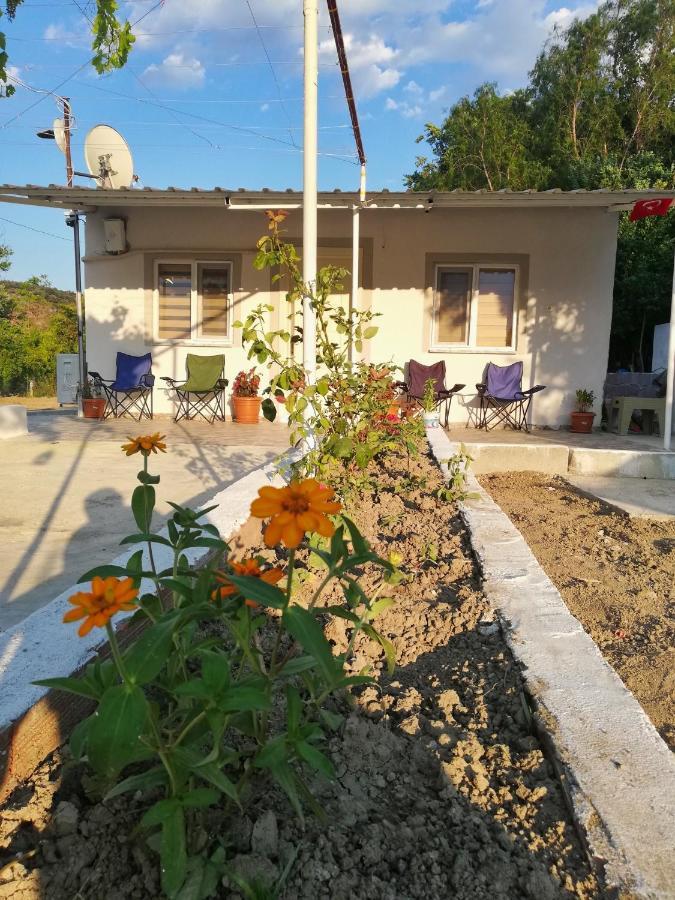 Alibaba Villa Near Airport And Beach Dalaman Ngoại thất bức ảnh