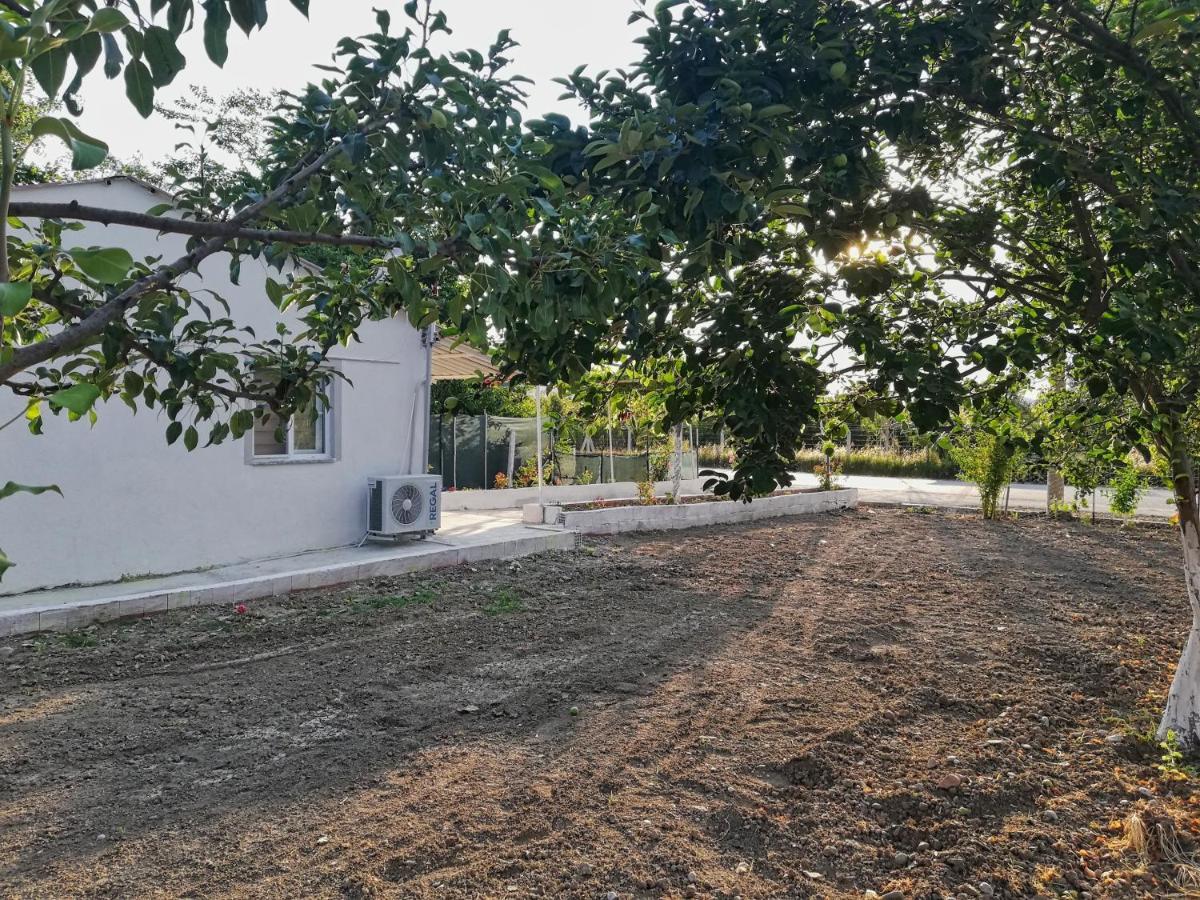 Alibaba Villa Near Airport And Beach Dalaman Ngoại thất bức ảnh