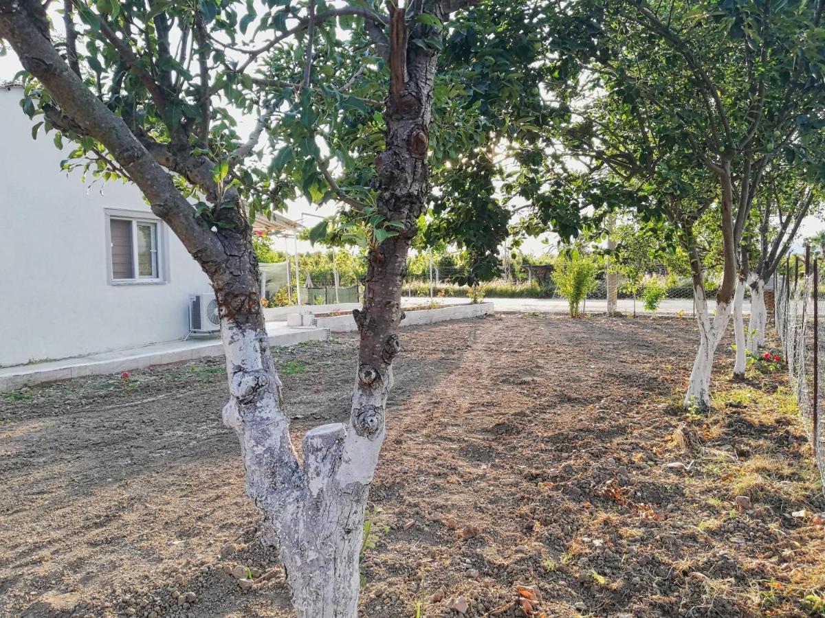 Alibaba Villa Near Airport And Beach Dalaman Ngoại thất bức ảnh